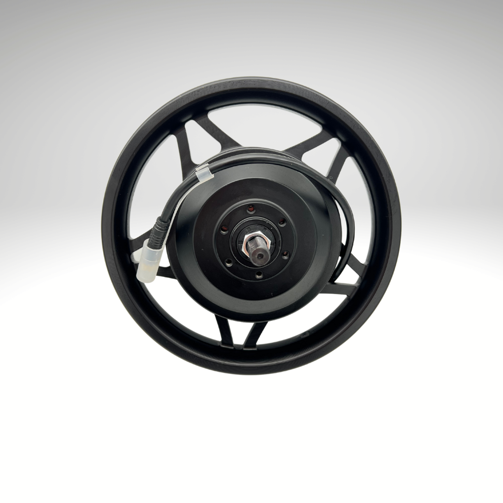 24V 250W hub motor for TAKANI electric balance bike TK1224