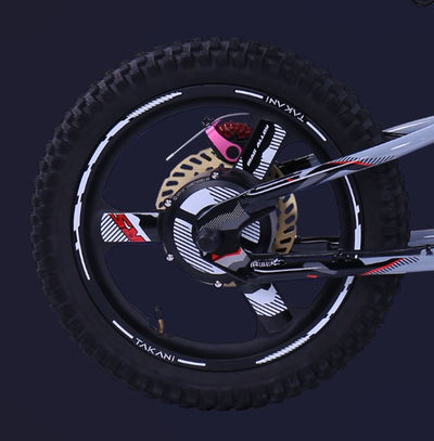 Hub-motors paired with high voltage: Winner solution for electric balance bikes?