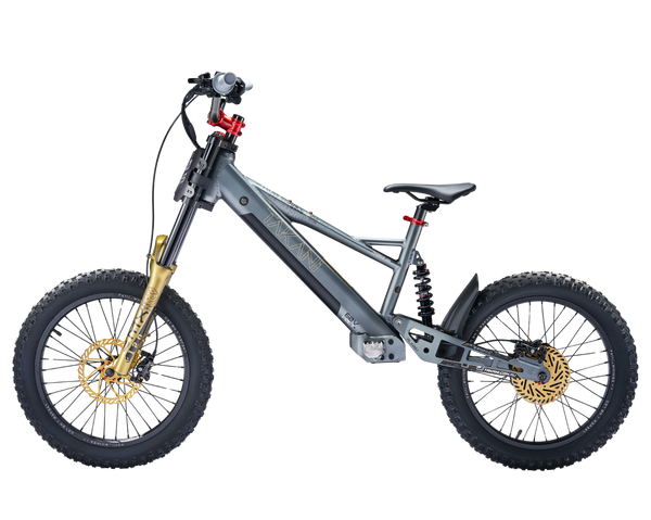 TAKANI Electric Balance Bike 20'' - TK2060-RS Matte charcoal