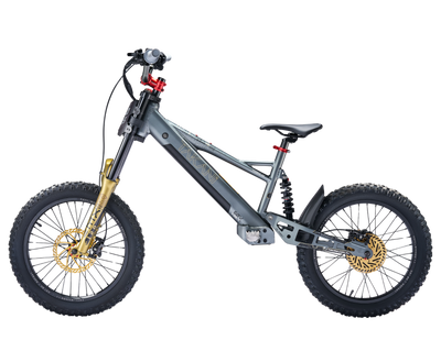 TAKANI Electric Balance Bike 20'' - TK2060-RS Matte charcoal