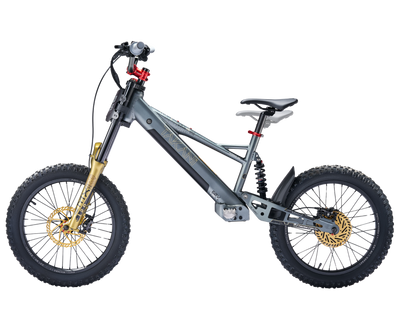 TAKANI Electric Balance Bike 20'' - TK2060-RS Matte charcoal