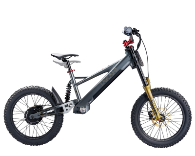 TAKANI Electric Balance Bike 20'' - TK2060-RS Matte charcoal