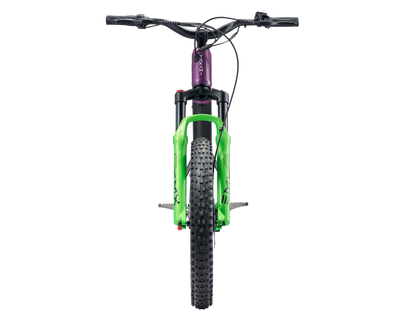 TAKANI Electric Balance Bike 20'' - TK2060 Plum Silver