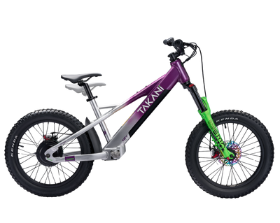 TAKANI Electric Balance Bike 20'' - TK2060 Plum Silver