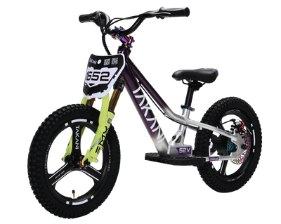 350W TAKANI  Electric Balance Bike 16'' - TK1652-RS Plum Silver
