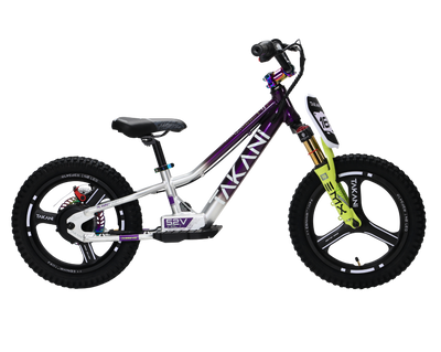 350W TAKANI  Electric Balance Bike 16'' - TK1652-RS Plum Silver